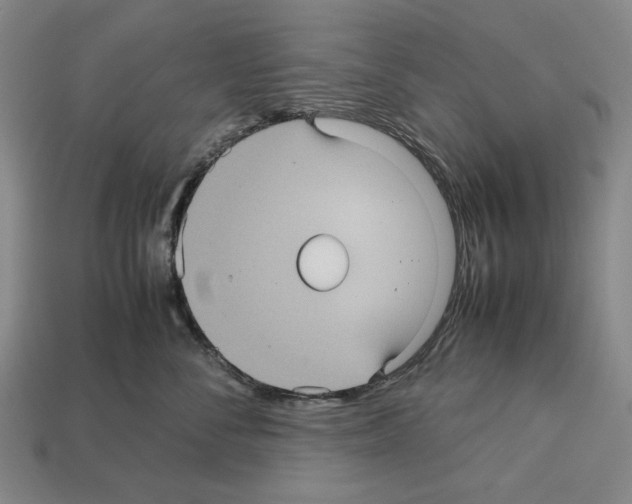 X0000112510716200909280955