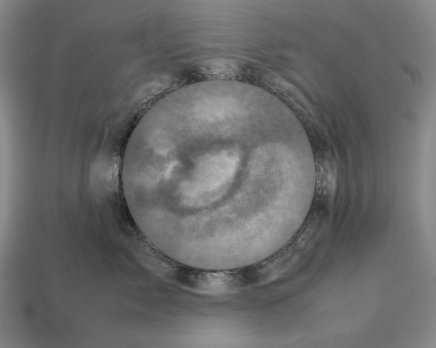 X0000112510717200909280955