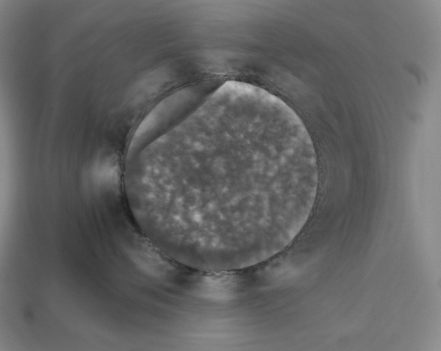 X0000112510720200909280955