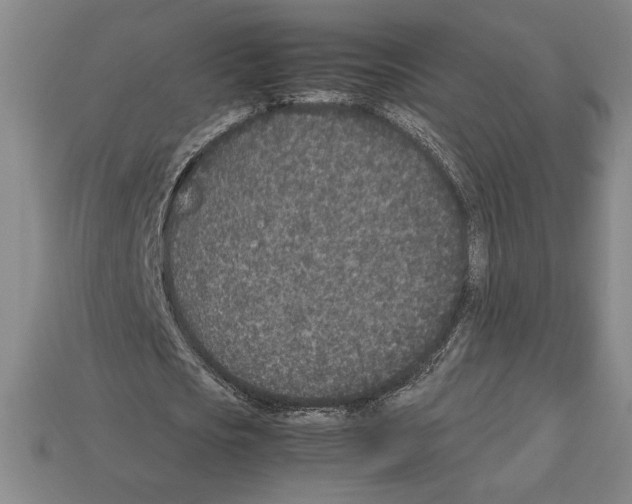 X0000112510721200909280955