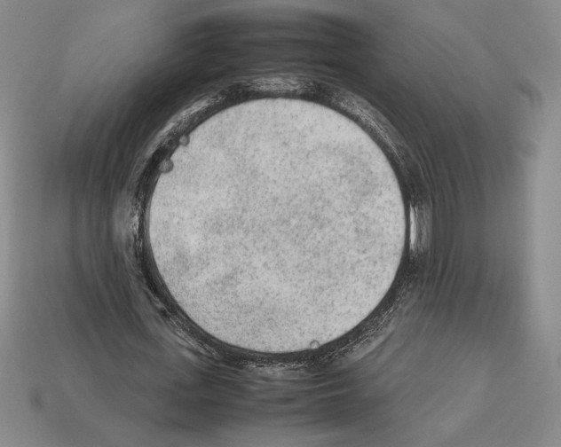 X0000112510723200909280955