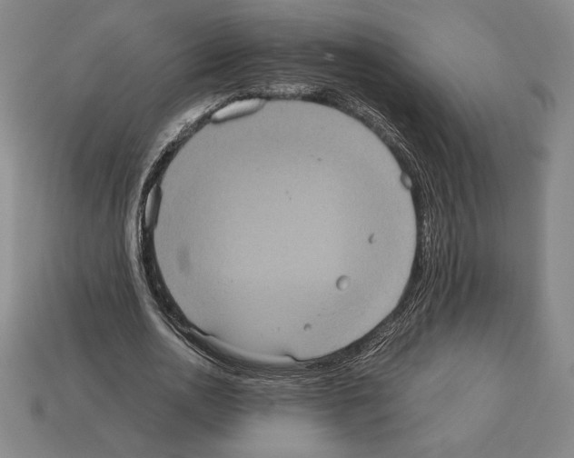 X0000112510726200909280955