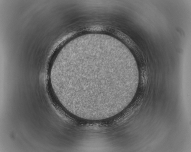 X0000112510728200909280955