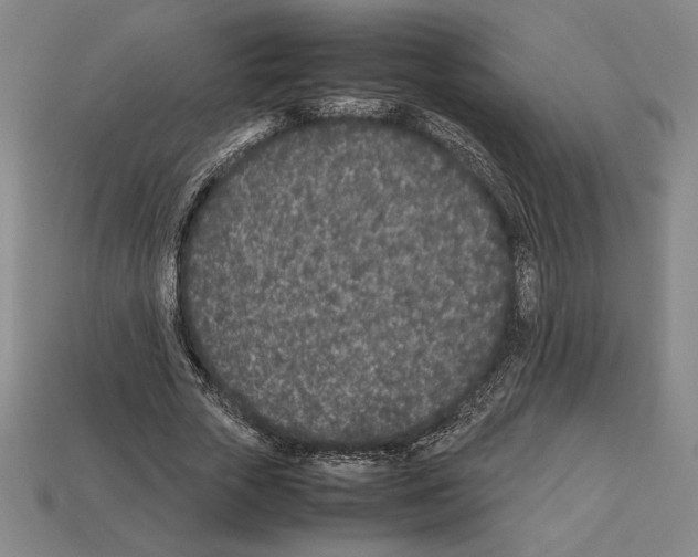 X0000112510729200909280955