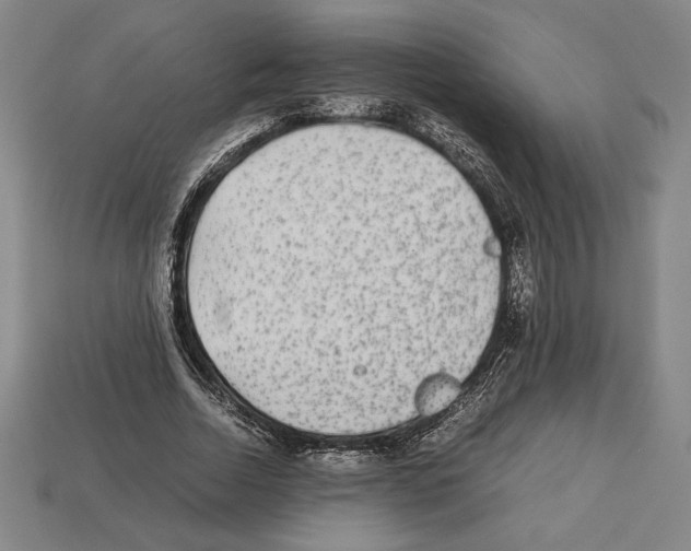 X0000112510730200909280955