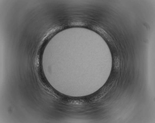 X0000112510731200909280955