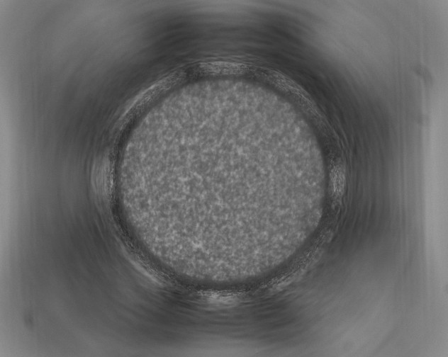 X0000112510733200909280955