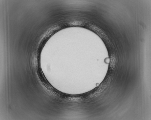 X0000112510734200909280955