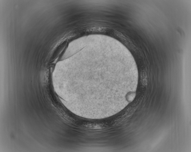 X0000112510735200909280955