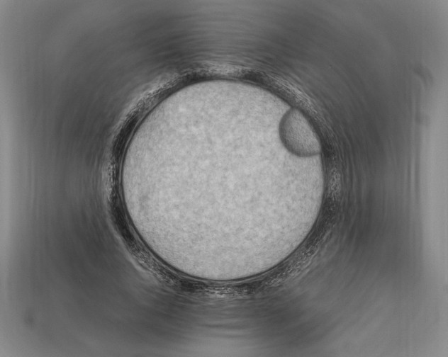 X0000112510736200909280955