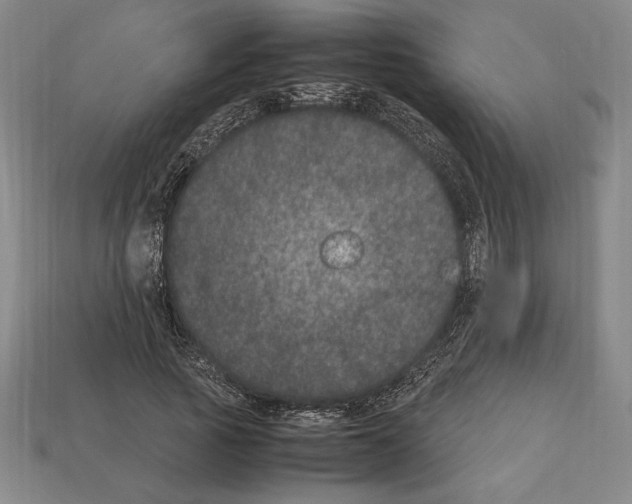 X0000112510737200909280955