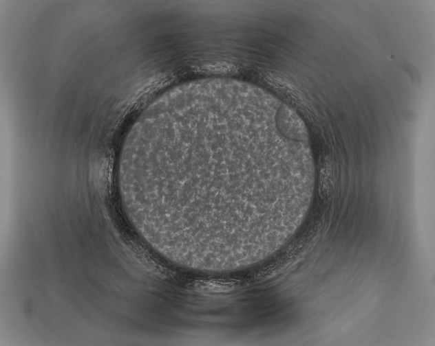 X0000112510739200909280955