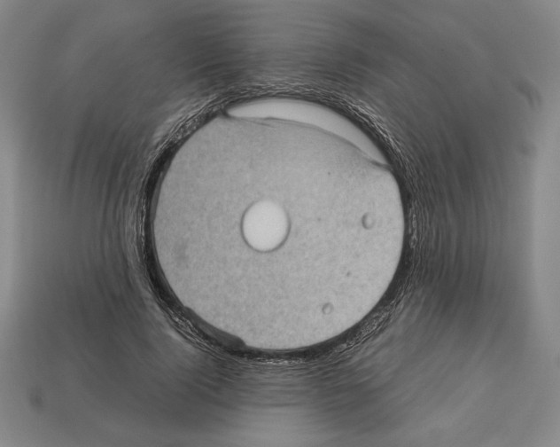 X0000112510740200909280955