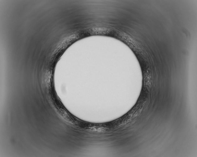 X0000112510742200909280955