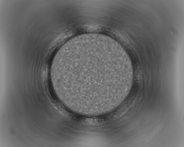 X0000112510744200909280955