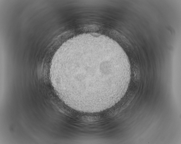 X0000112510745200909280955