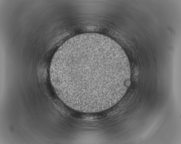 X0000112510746200909280955