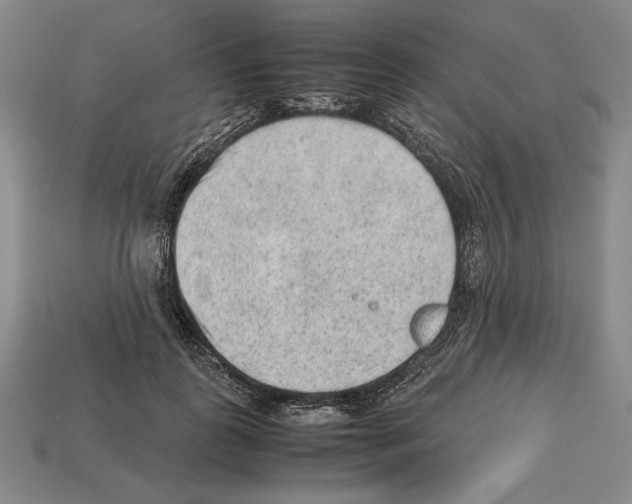 X0000112510747200909280955