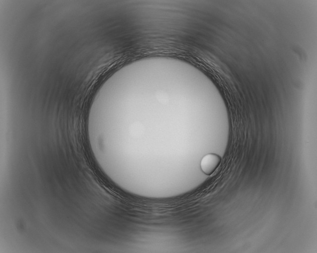 X0000112510748200909280955