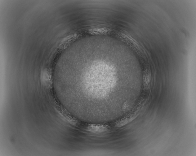 X0000112510749200909280955