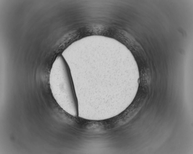 X0000112510750200909280955