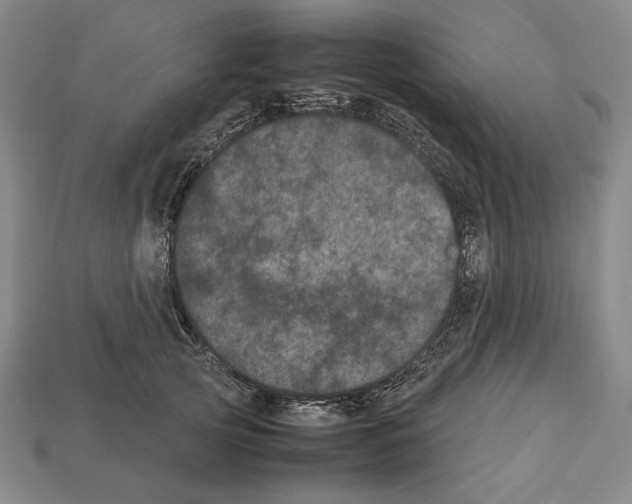 X0000112510753200909280955