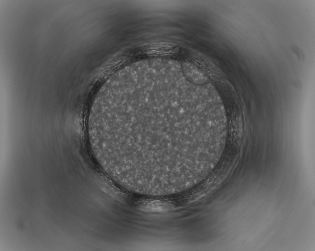 X0000112510755200909280955