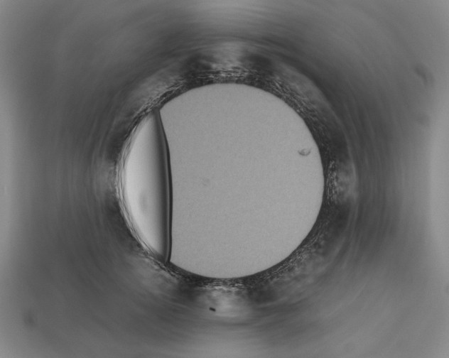 X0000112510756200909280955