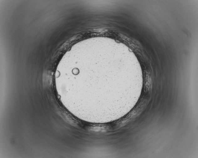 X0000112510758200909280955