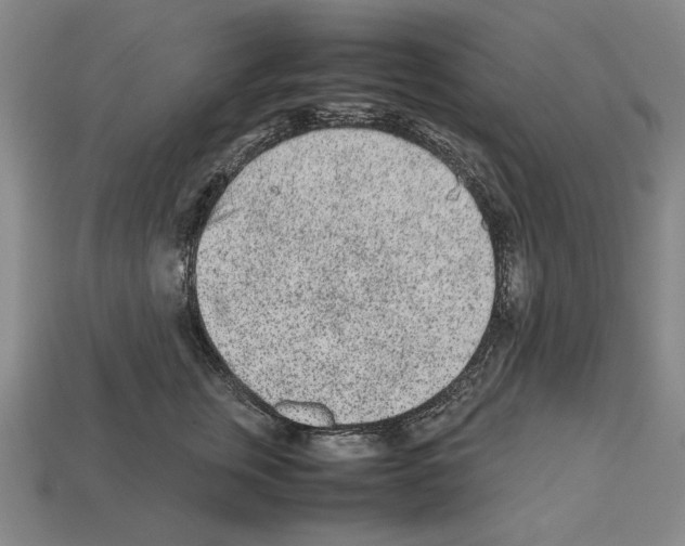 X0000112510759200909280955