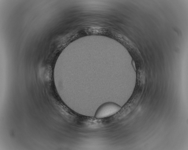 X0000112510760200909280955