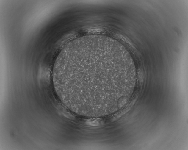 X0000112510761200909280955