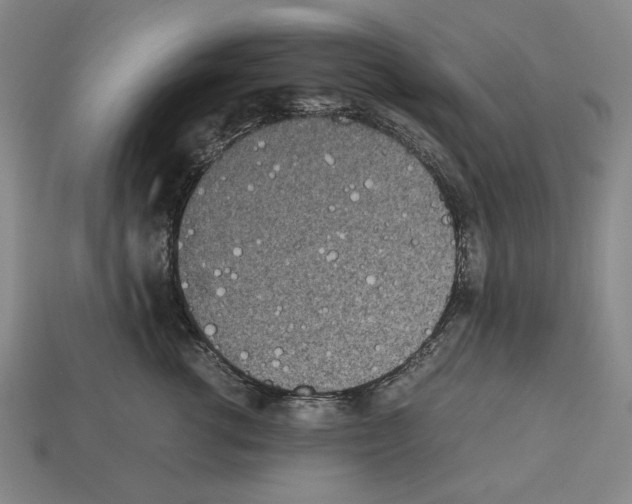 X0000112510762200909280955