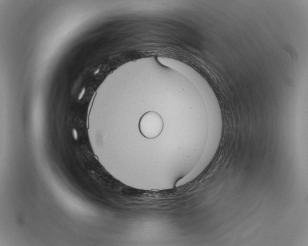 X0000112510764200909280955