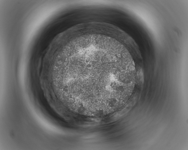 X0000112510765200909280955