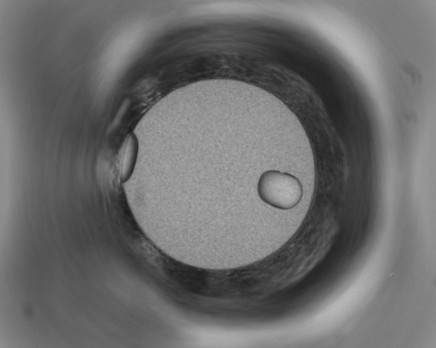 X0000112510766200909280955