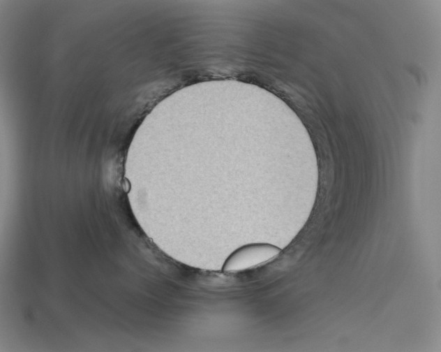 X0000112510768200909280955