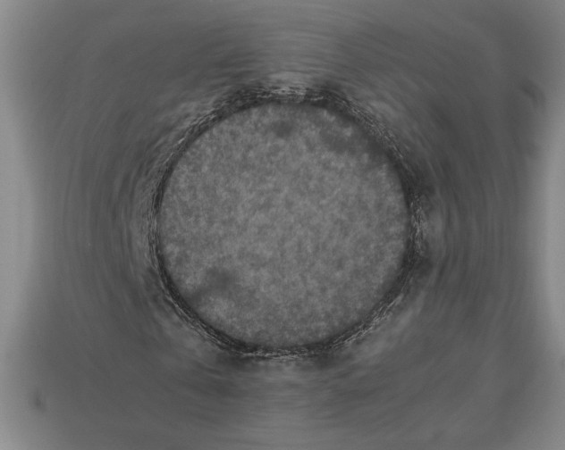 X0000112510769200909280955