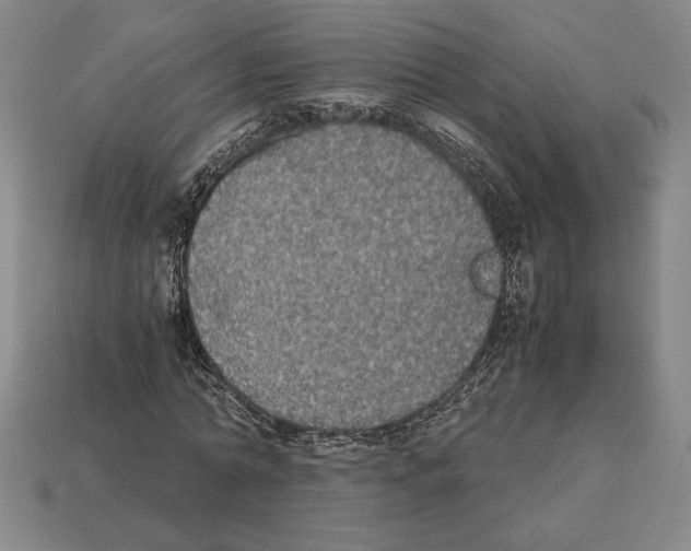 X0000112510774200909280955