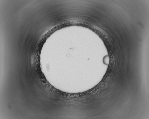 X0000112510776200909280955