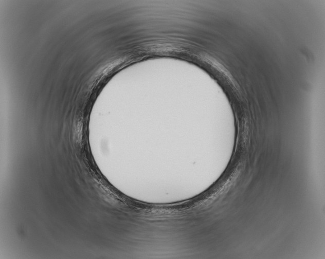 X0000112510777200909280955