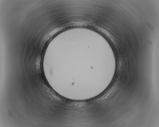 X0000112510778200909280955