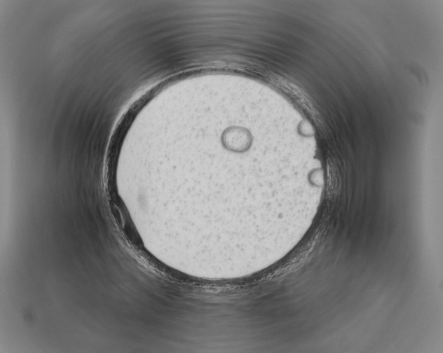 X0000112510780200909280955