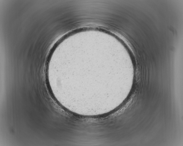 X0000112510783200909280955