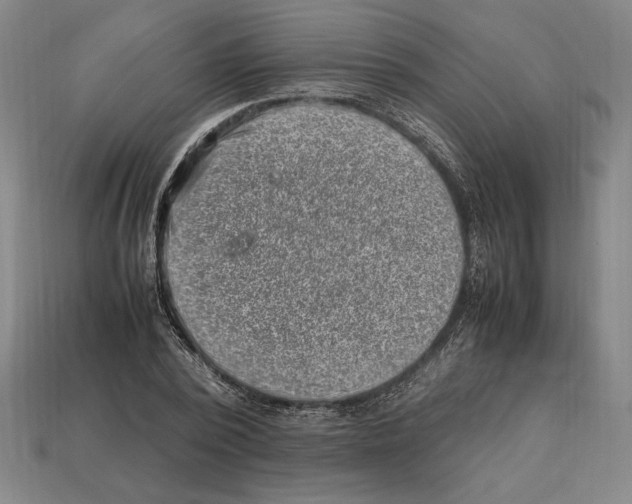 X0000112510784200909280955