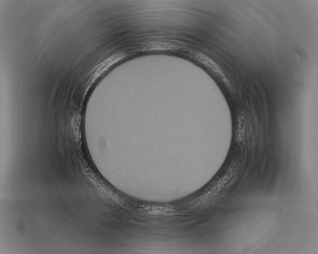 X0000112510786200909280955