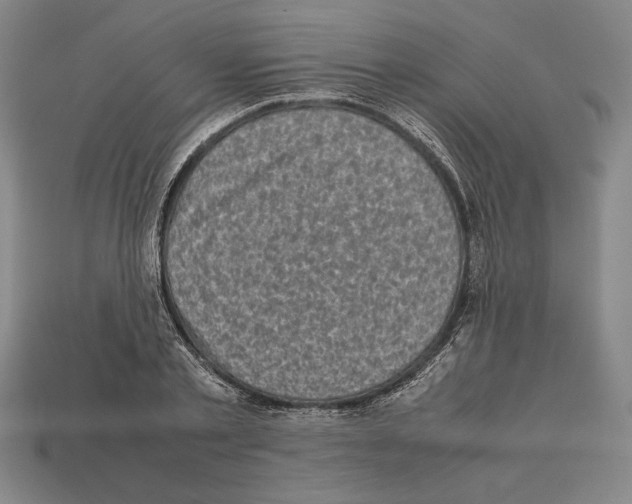 X0000112510789200909280955