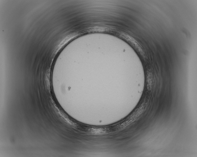 X0000112510794200909280954