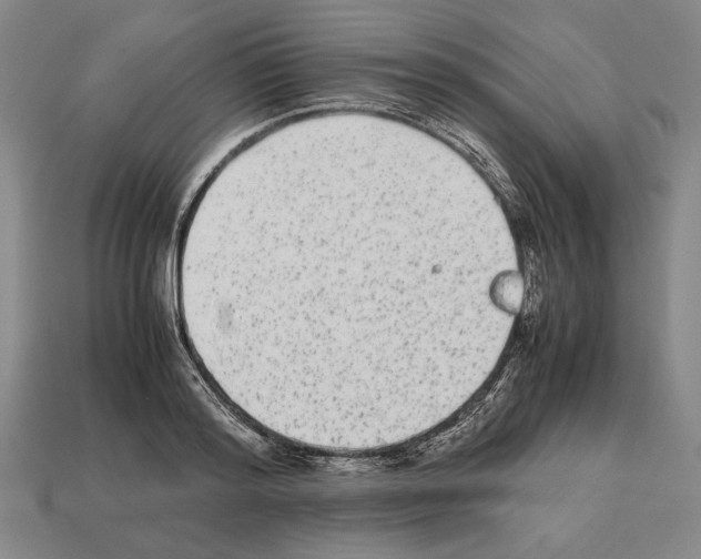 X0000112510796200909280954