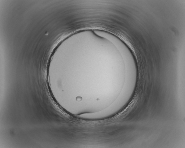 X0000112510797200909280954